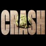 MarijuanaCrash MarijuanaCrash