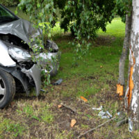 Accident_Tree5 Accident_Tree5