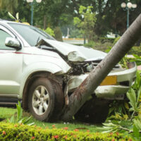 Accident_Tree6 Accident_Tree6